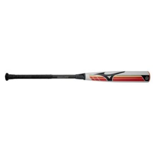 Mizuno B25-DUALITY Baseball Bat