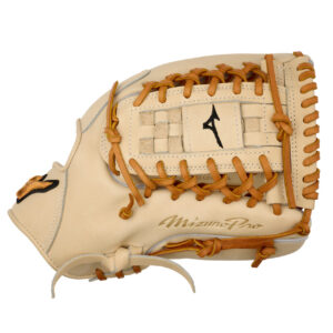 Mizuno Pro 12 Ball Glove GMP-1200D